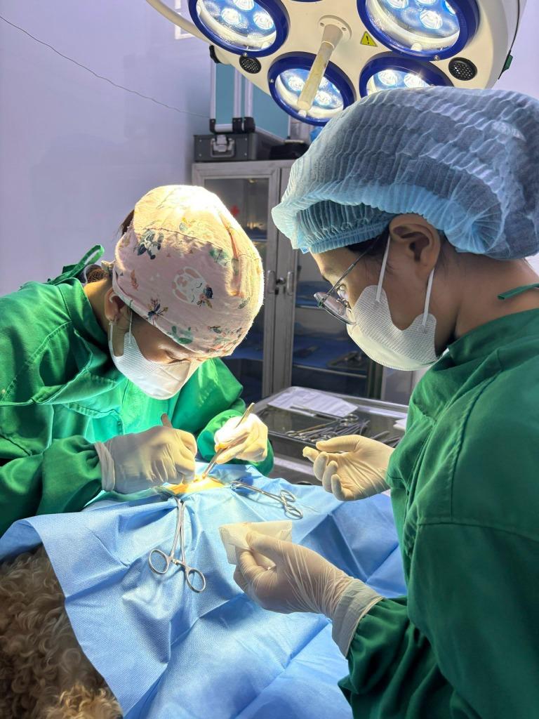 Phẫu Thuật Mô Mềm